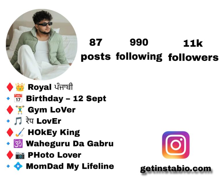 250+ Best Punjabi Instagram Bio | Jatt and Badmashi Bio
