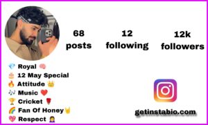 250+ Best Punjabi Instagram Bio | Jatt and Badmashi Bio