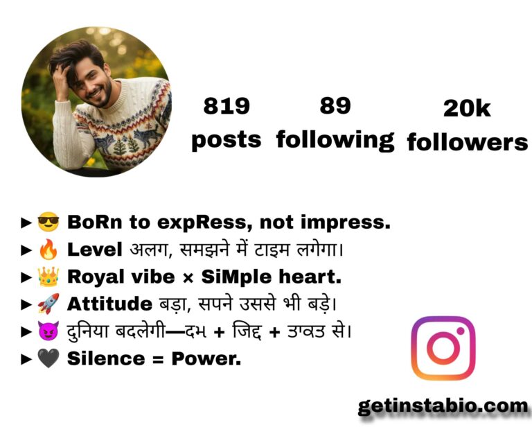 New Attitude Best 346+ Perfect Bio For Instagram