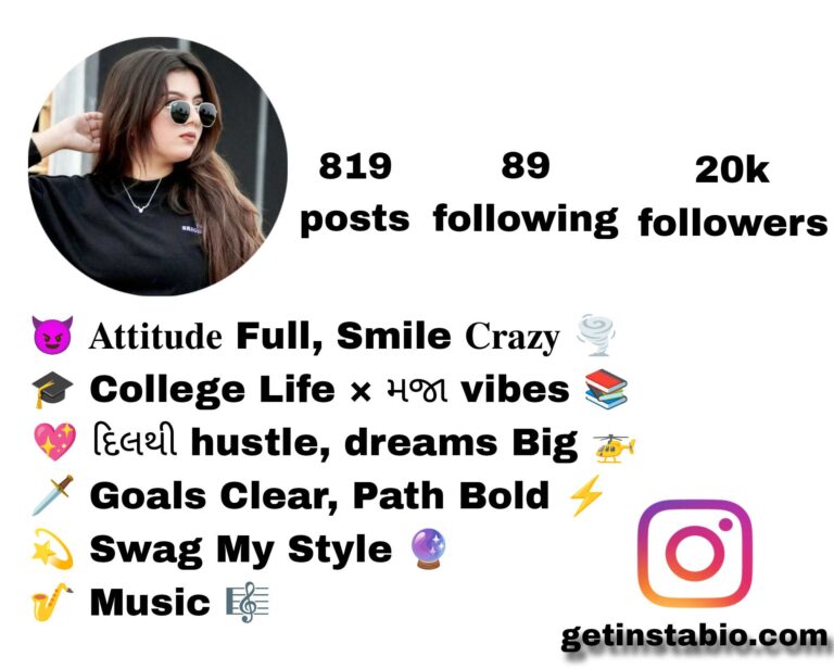 New Attitude Best 346+ Perfect Bio For Instagram