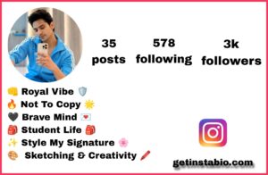 New Attitude Best 346+ Perfect Bio For Instagram