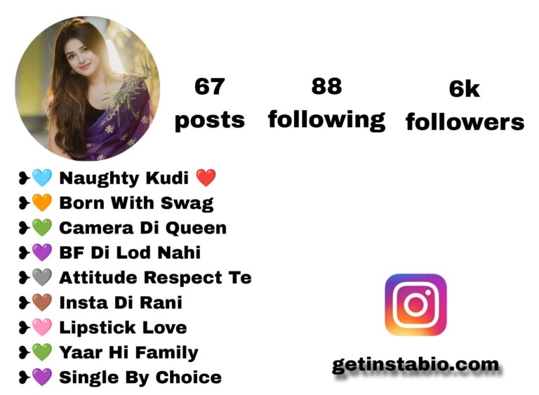 Best 455+ Punjabi Bio For Instagram | पंजाबी बायो