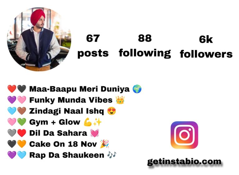 Best 455+ Punjabi Bio For Instagram | पंजाबी बायो