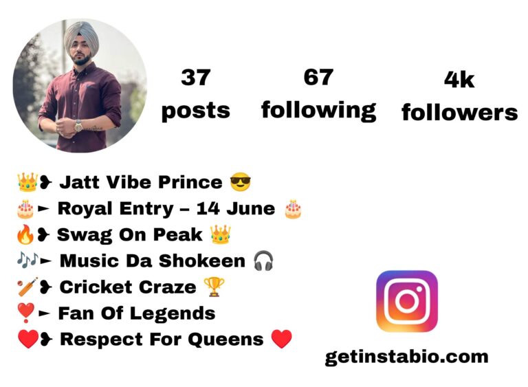 Best 455+ Punjabi Bio For Instagram | पंजाबी बायो