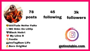 Best 104+ Mc Stan Instagram Bio